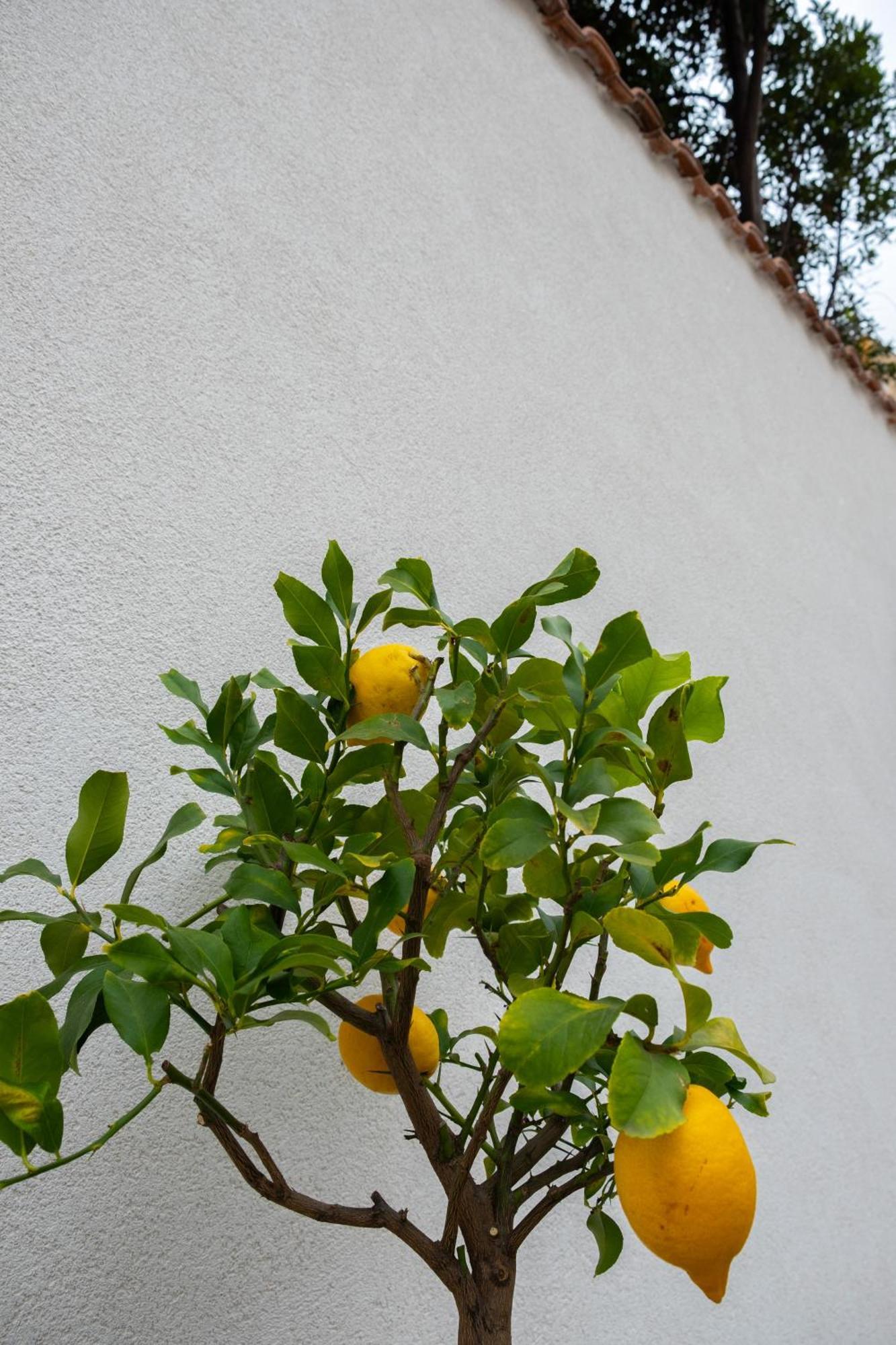 Apartmán Cedros Palermo Exteriér fotografie